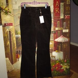Quince Dark Brown Corduroy Pants